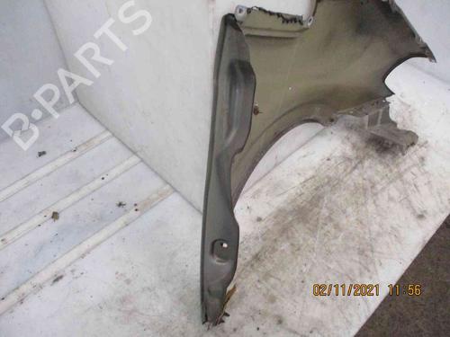 Left front fenders LANCIA MUSA (350_) 1.3 D Multijet (350.AXM11, 350.AXM1A, 350.AXI1A) | BP19738830C41 