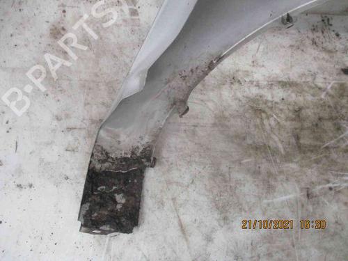 Left front fenders HYUNDAI GETZ (TB) 1.5 CRDi | BP19713981C41 