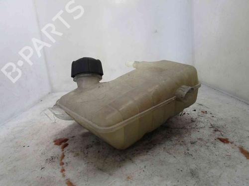 Expansion tank RENAULT SCÉNIC II (JM0/1_) 1.9 dCi (JM14) | BP19712964C120 