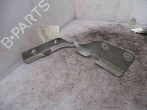 Used Hinge/Door check strap CITROËN C3 I (FC_, FN_) 1.4 HDi (68 hp) 19717693