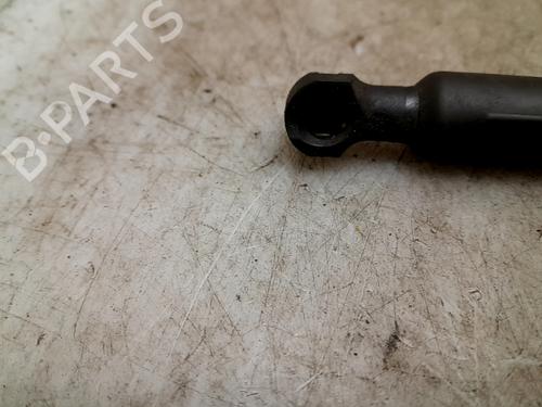Tailgate lift support PEUGEOT 2008 I (CU_) 1.6 BlueHDi 100 | BP24996609C138