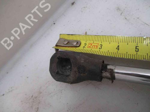 Tailgate lift support PEUGEOT 806 (221)  | BP19735028C138 