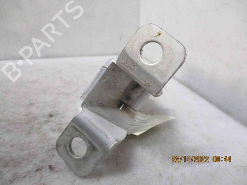 Hinge/Door check strap RENAULT KANGOO Express (FW0/1_)  | BP26624677C146 