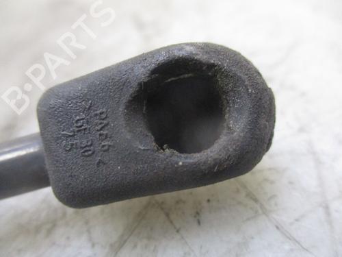 Hood lift support FIAT STILO (192_) 1.9 D Multijet | BP24156691C139 