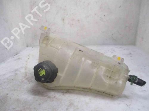 Used Expansion tank RENAULT KANGOO Express (FW0/1_) [2008-2025]  20206017
