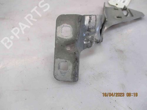 Hinge/Door check strap RENAULT MEGANE II (BM0/1_, CM0/1_)  | BP19739627C146 