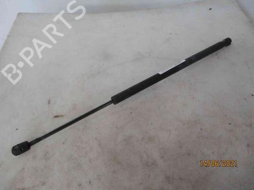 Tailgate lift support TOYOTA COROLLA Verso (ZER_, ZZE12_, R1_) 2.0 D-4D (CUR10_, CUR10R) | BP19735365C138 