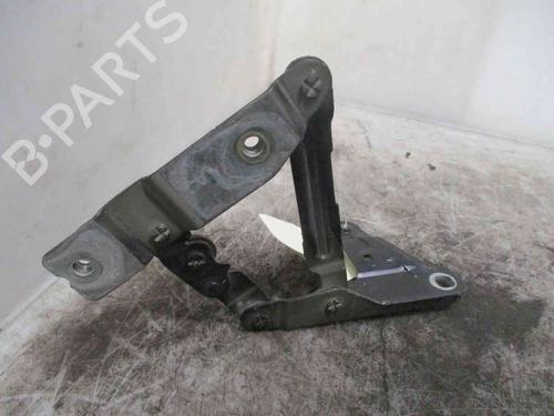Hinge/Door check strap SEAT ALTEA (5P1)  | BP19717676C146 