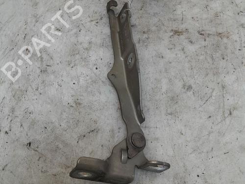 hingedoor-check-strap-citroen-c3-ii-sc_-2009-30915470 main image