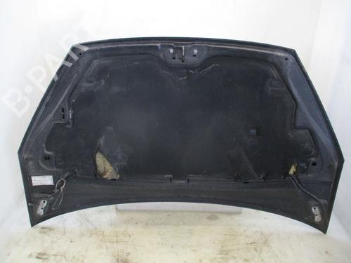 Hood FORD S-MAX (WA6) 2.0 TDCi | BP25043821C1