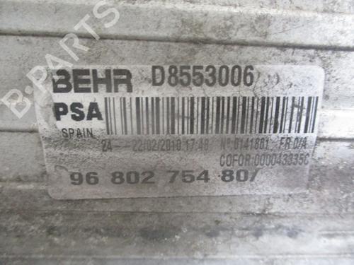 Intercooler PEUGEOT 207 (WA_, WC_) 1.6 HDi | BP29816633M30