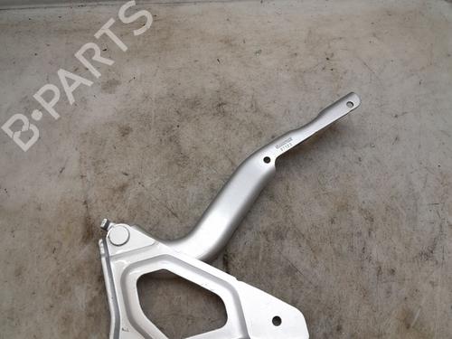 Used Hinge/Door check strap RENAULT CLIO V (B7_) 1.0 LPG (B7MT) (101 hp) 30796679