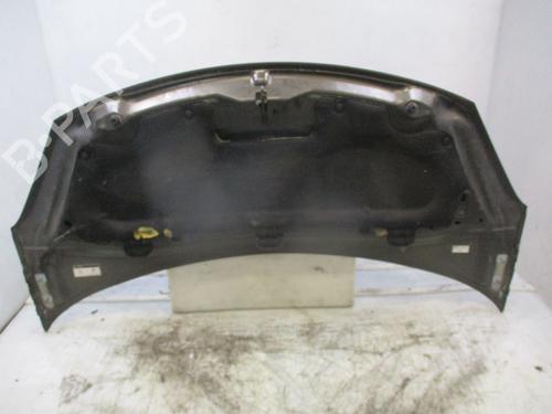 Hood CITROËN C3 II (SC_) 1.6 HDi | BP30884316C1