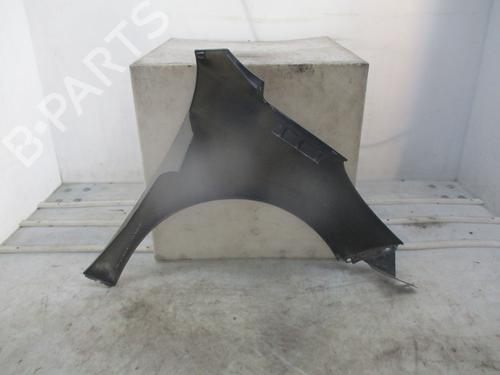 Left front fenders PEUGEOT 207 (WA_, WC_) 1.6 HDi | BP29441226C41 