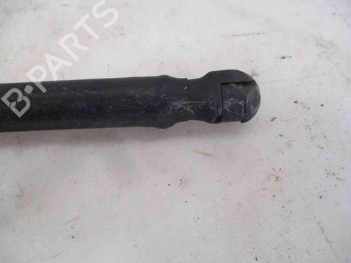 Tailgate lift support CITROËN C3 I (FC_, FN_) 1.4 HDi | BP19741980C138 