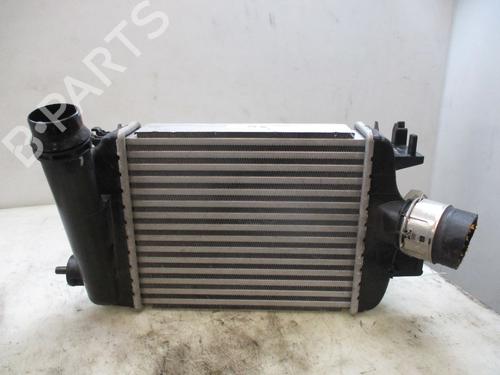 Intercooler RENAULT CLIO V (B7_) 1.0 LPG (B7MT) (101 hp) 30723046