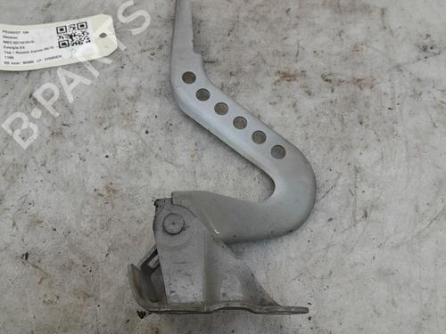 hingedoor-check-strap-peugeot-108-2014-30915559 main image