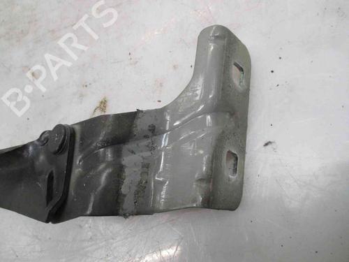 Hinge/Door check strap RENAULT MEGANE II (BM0/1_, CM0/1_) 1.9 dCi | BP19739214C146