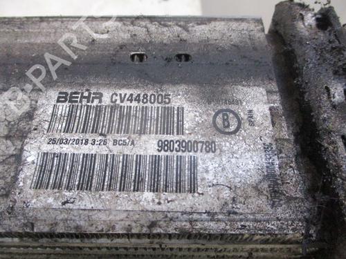 Intercooler PEUGEOT 2008 I (CU_) 1.6 BlueHDi 100 | BP24996615M30 