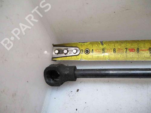 Tailgate lift support RENAULT CLIO IV (BH_) 1.5 dCi 90 | BP20204704C138 
