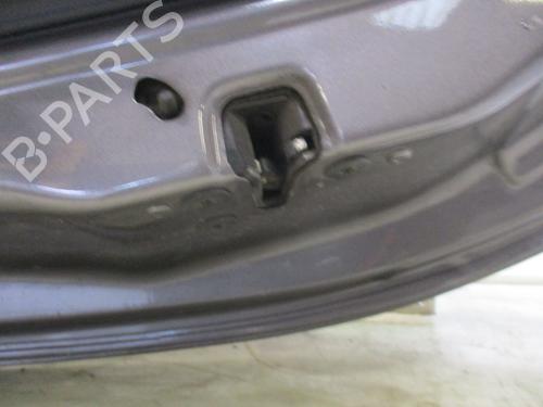 Right rear door RENAULT CLIO III (BR0/1, CR0/1) 1.5 dCi (BR17, CR17) | BP31934617C5 