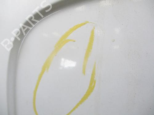 Left tailgate RENAULT KANGOO Express (FW0/1_) 1.5 dCi 75 (FW07, FW10, FW04) | BP29901056C76