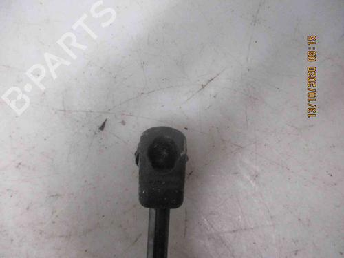 Hood lift support BMW 1 (F21)  | BP26620425C139 