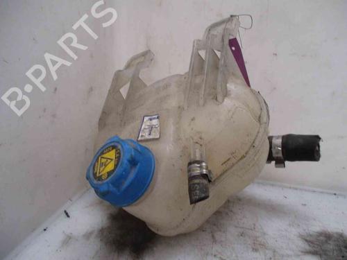 Ekpansionstank FIAT GRANDE PUNTO (199_) 1.3 D Multijet (75 hp) 26620265