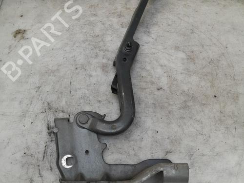 Used Hinge/Door check strap Hinge/Door check strap RENAULT LATITUDE (L70_) 3.0 dCi 240 (L70G) (241 hp) 35885553 35885553