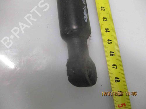 Tailgate lift support RENAULT ZOE (BFM_) ZOE | BP19734908C138