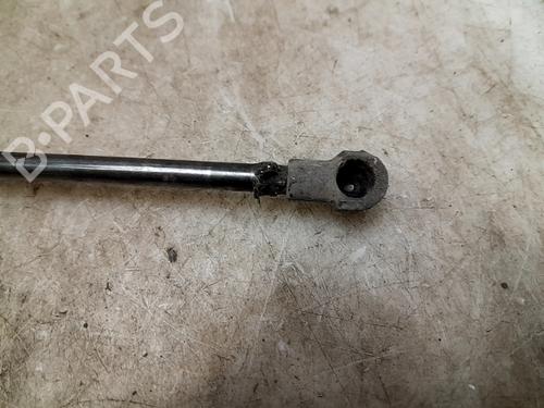 Tailgate lift support NISSAN ALMERA TINO (V10) 2.2 dCi | BP26639055C138 