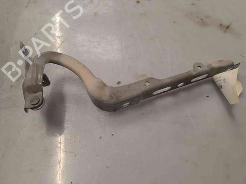 Hinge/Door check strap PEUGEOT 208 I (CA_, CC_) 1.4 HDi | BP26629010C146 