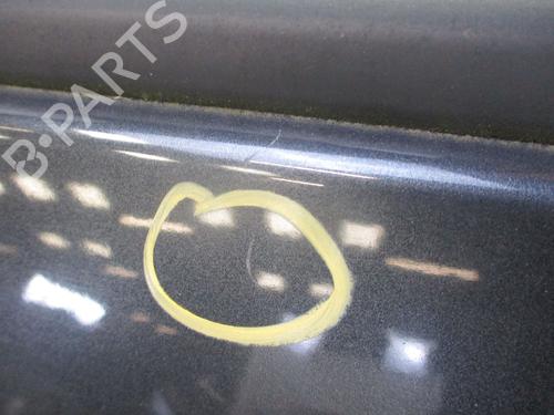 Right front door RENAULT SCÉNIC III (JZ0/1_) 1.9 dCi (JZ0J, JZ1J, JZ1K, JZ1S) | BP28828227C3 