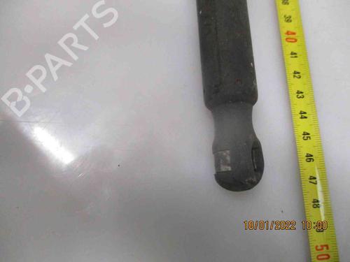 Tailgate lift support VW GOLF V (1K1) 2.0 TDI 16V | BP19740191C138 