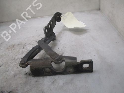 Hinge/Door check strap BMW X5 (E53) 3.0 d | BP24304458C146 