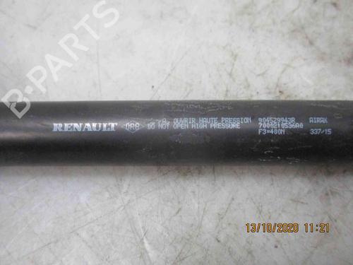 Tailgate lift support DACIA SANDERO II 1.2 | BP20204468C138 