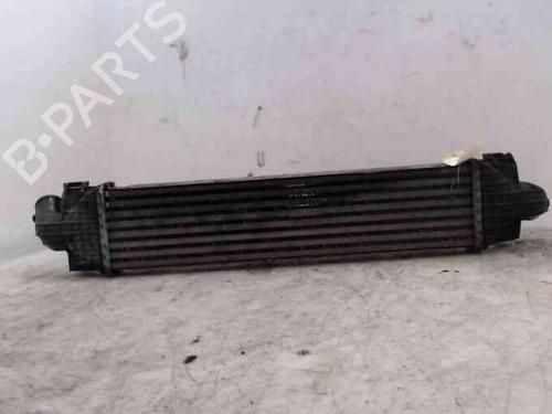 Intercooler FORD FOCUS C-MAX (DM2) 1.6 | BP19713735M30 