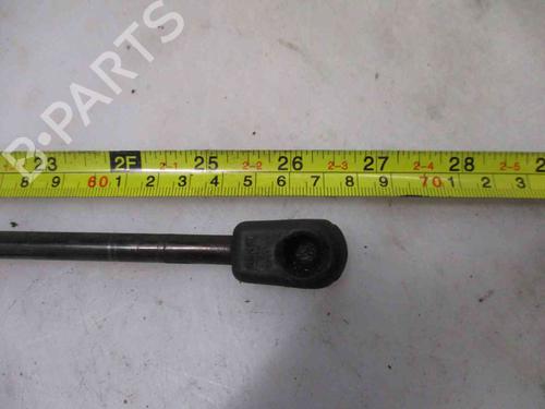 Hood lift support RENAULT MEGANE III Hatchback (BZ0/1_, B3_) 1.5 dCi | BP20508805C139 