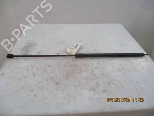 Used Hood lift support RENAULT MEGANE III Hatchback (BZ0/1_, B3_) 1.5 dCi (BZ09, BZ0D, BZ1W, BZ29, BZ14) (110 hp) 19718061
