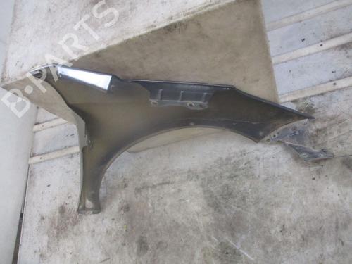 Left front fenders PEUGEOT 207 (WA_, WC_) 1.6 HDi | BP29514938C41 