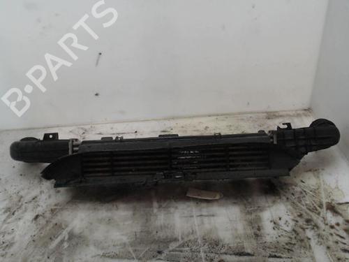 Intercooler MERCEDES-BENZ E-CLASS (W210) E 220 CDI (210.006) | BP20204232M30 