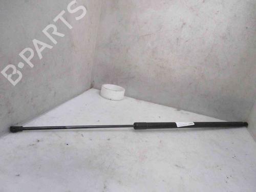 Used Tailgate lift support RENAULT KANGOO / GRAND KANGOO II (KW0/1_) 1.5 dCi 110 (KW06, KW12) (110 hp) 26623980