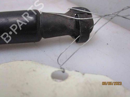 Tailgate lift support NISSAN QASHQAI I (J10, NJ10) 1.6 dCi | BP26627906C138