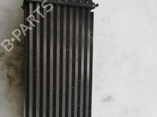 Intercooler FIAT SCUDO Van (270_, 272_)  | BP24444312M30 