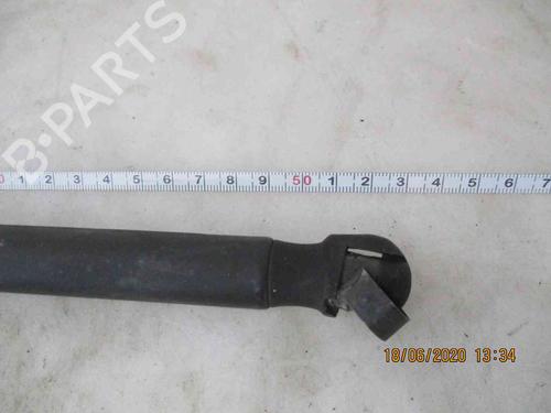 Tailgate lift support MINI MINI (R56) Cooper D | BP19735103C138 