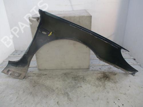 Left front fenders PEUGEOT 407 Coupe (6C_) 2.7 HDi | BP29620931C41