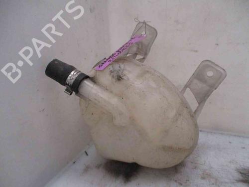 Expansion tank FIAT GRANDE PUNTO (199_) 1.3 D Multijet | BP26620265C120