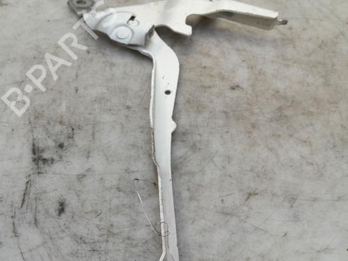 Used Hinge/Door check strap Hinge/Door check strap DS DS 3 / DS 3 CROSSBACK (UR_, UC_, UJ_) 1.2 PureTech 130 (URHNSS) (131 hp) 35885571 35885571