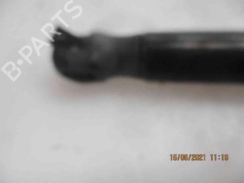 Tailgate lift support SEAT ALTEA (5P1)  | BP19738052C138 