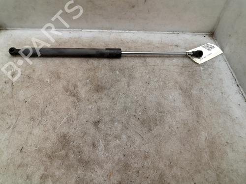 Used Tailgate lift support RENAULT CLIO III (BR0/1, CR0/1) [2005-2014]  24013502